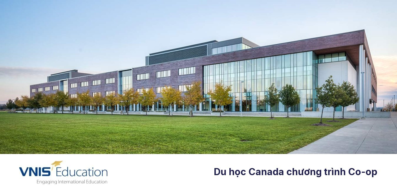 Du học Canada chương trình Co-op: Học đi đôi với hành, cơ hội việc làm rộng mở 2026