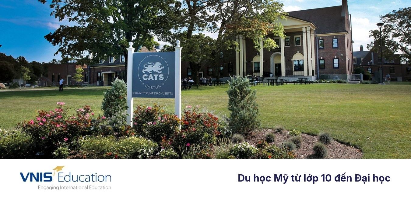 Tư vấn du học Mỹ từ lớp 10 đến đại học – Lộ trình học tập toàn diện cùng VNIS Education